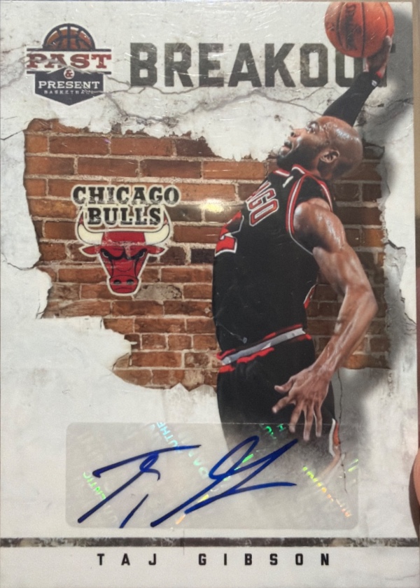Taj Gibson