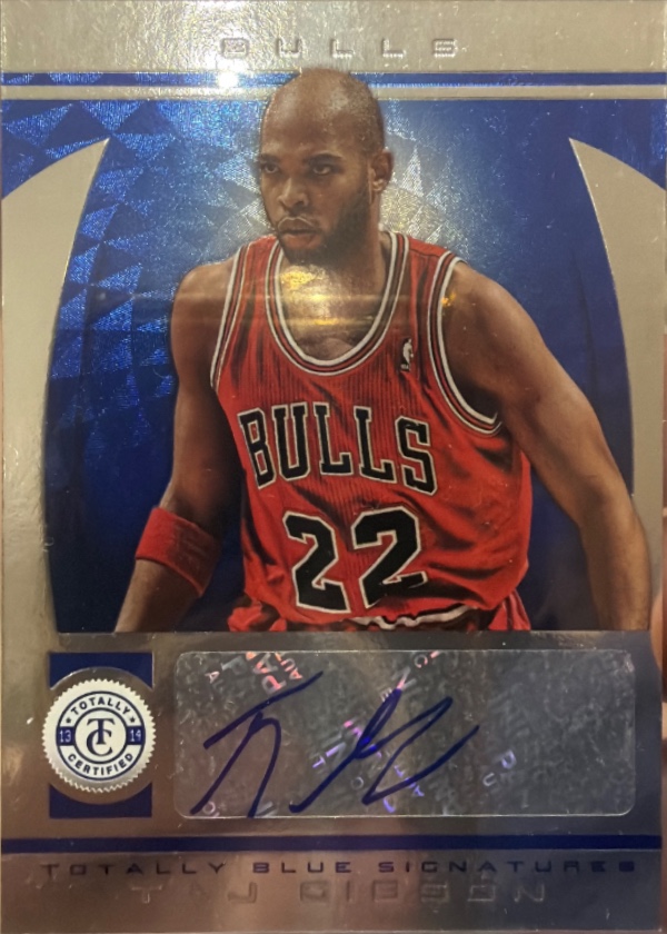 Taj Gibson