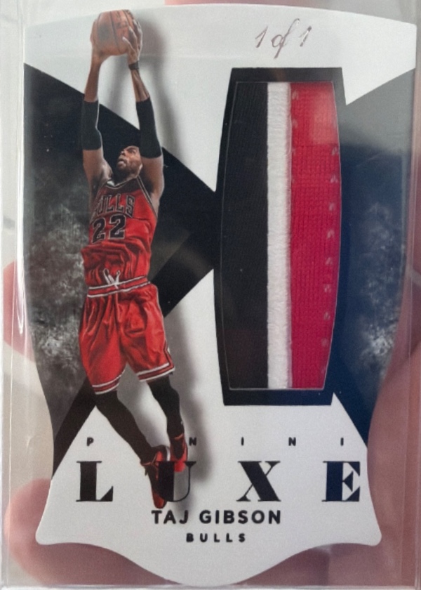 Taj Gibson