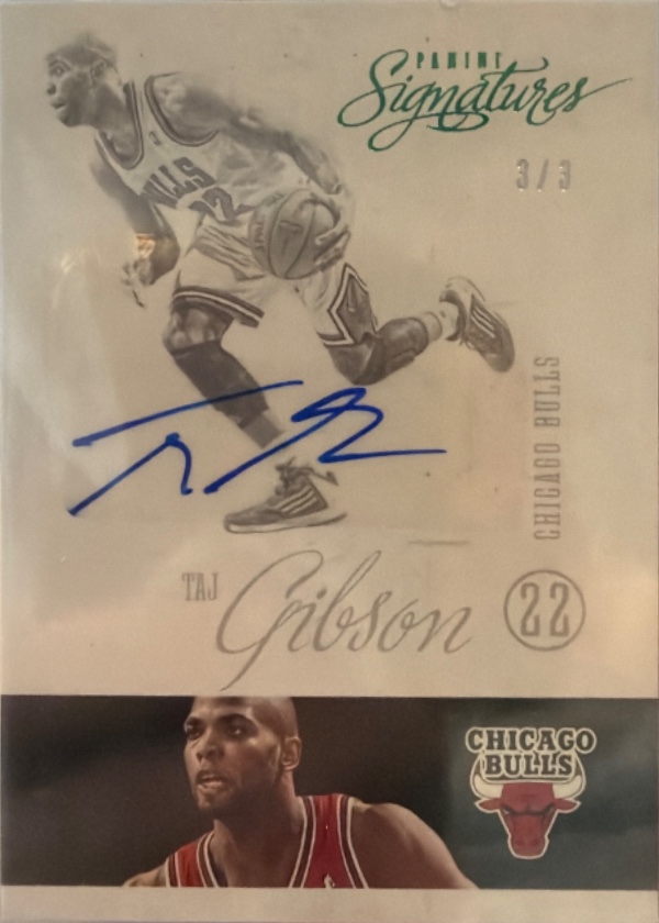 Taj Gibson