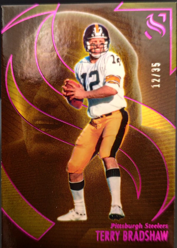 Terry Bradshaw