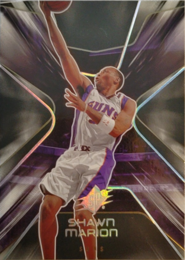 Shawn Marion