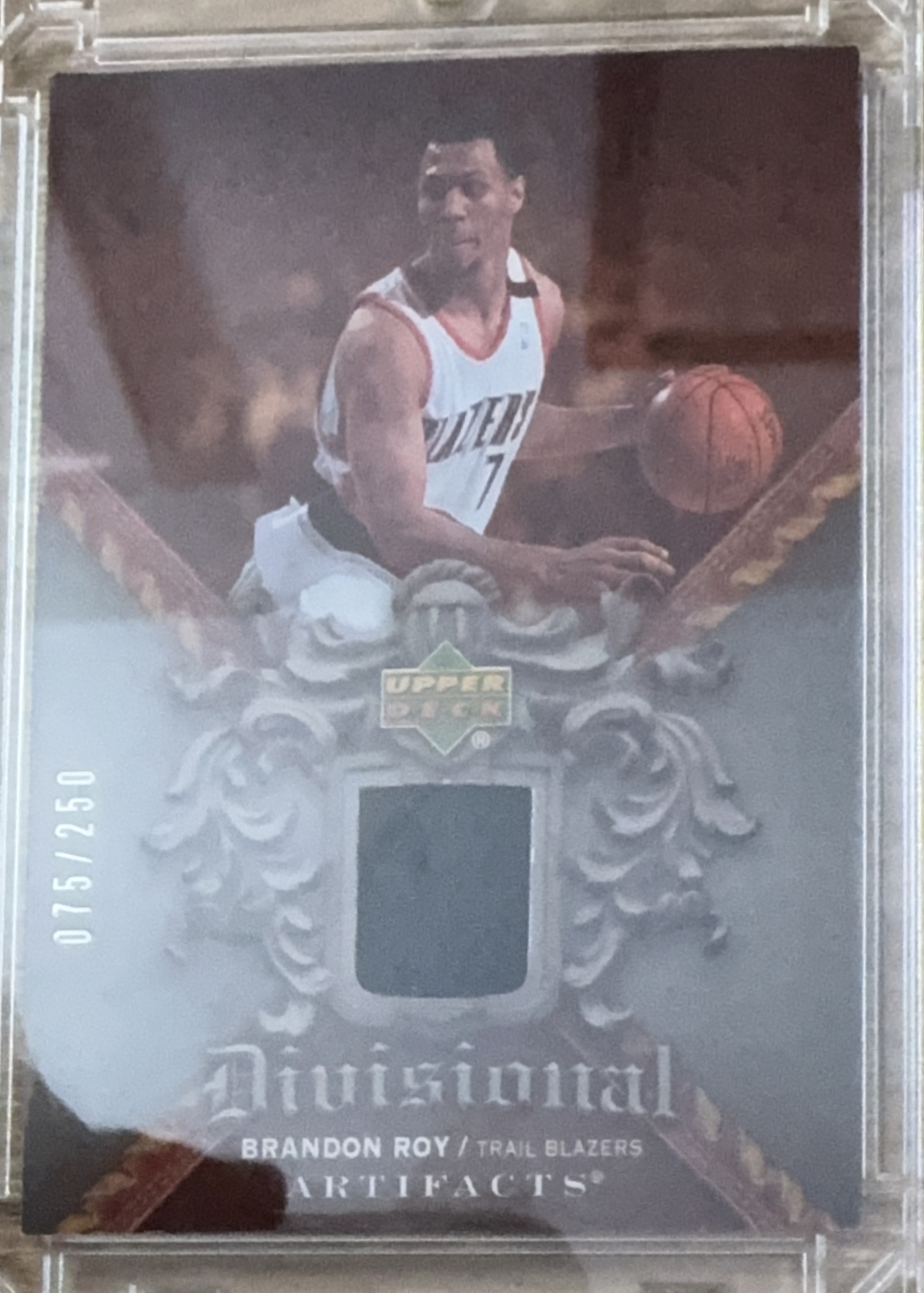 Brandon Roy