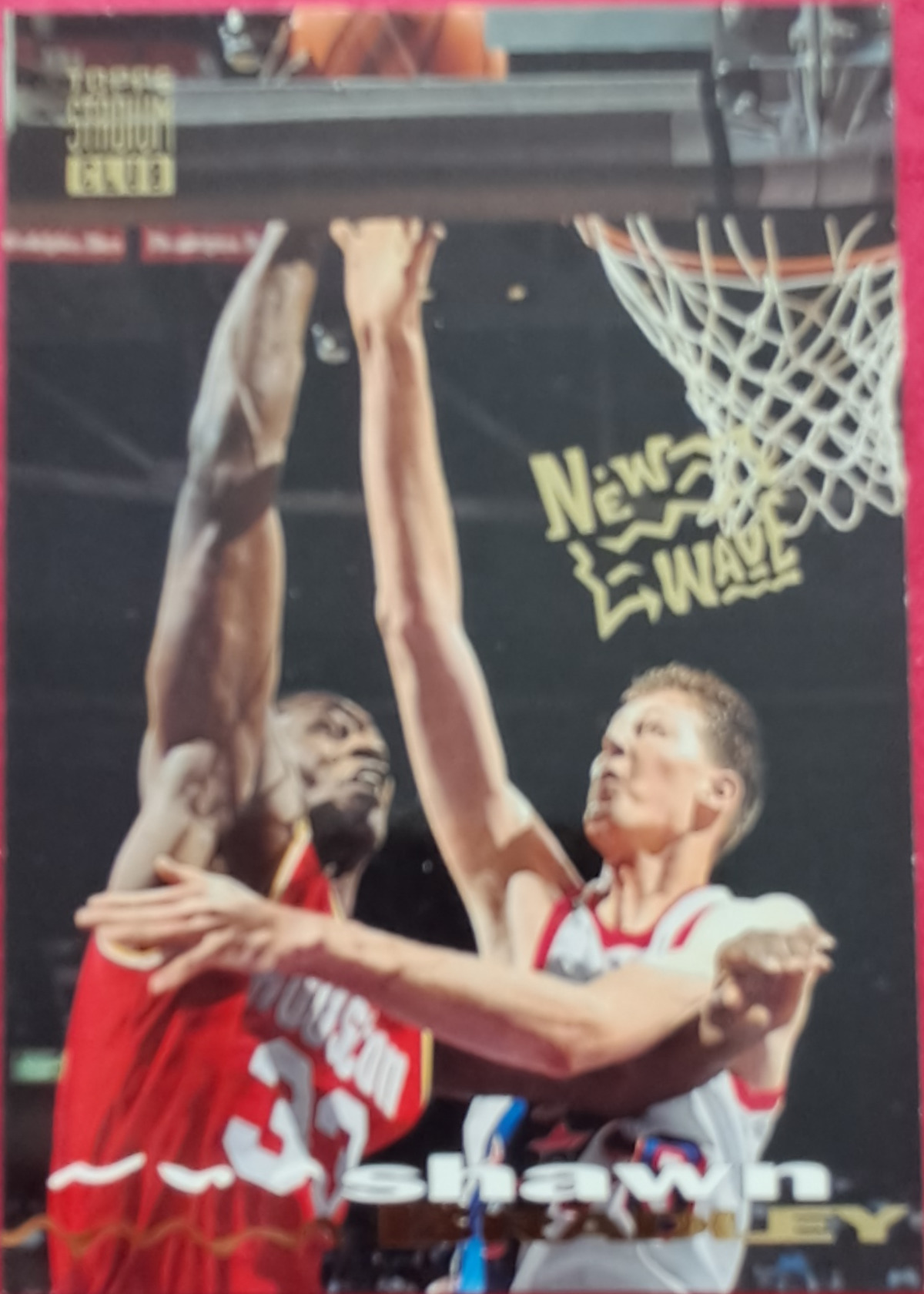 Shawn Bradley