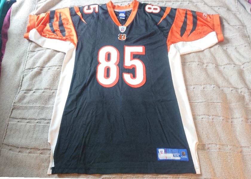 Chad Johnson