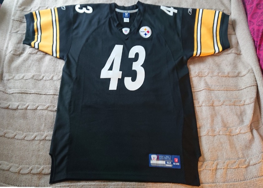 Troy Polamalu