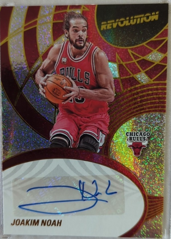 Joakim Noah