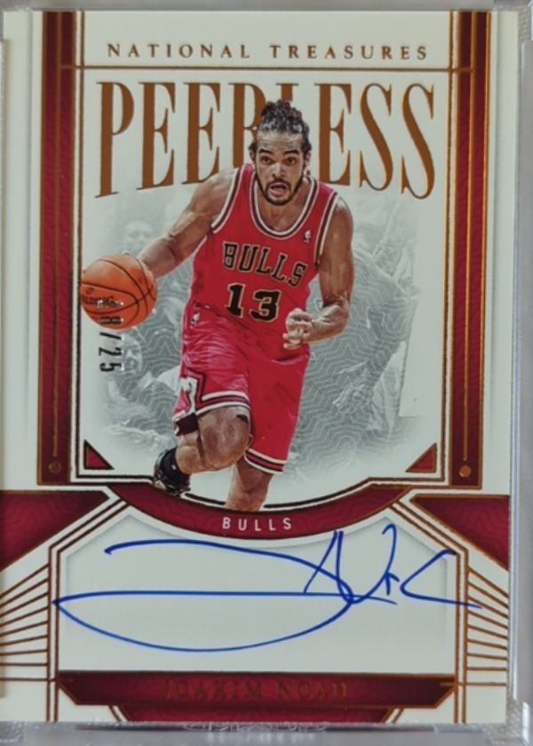 Joakim Noah