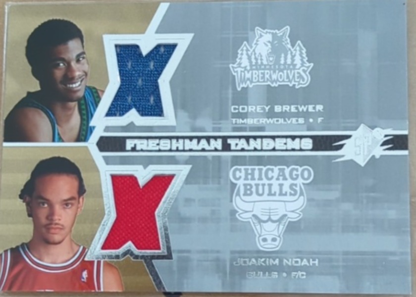 Corey Brewer & Joakim Noah