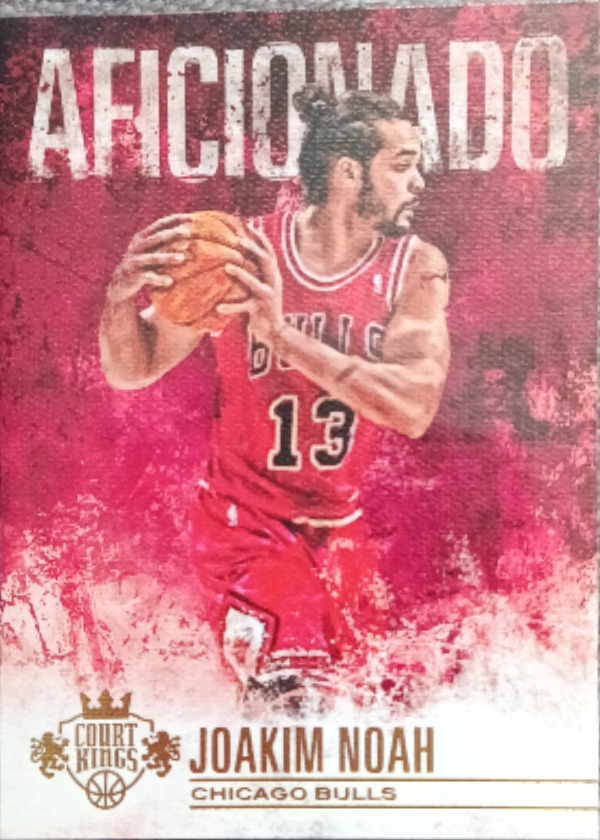 Joakim Noah