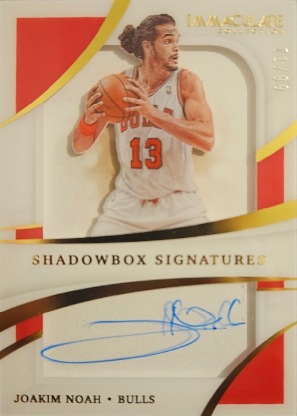 Joakim Noah