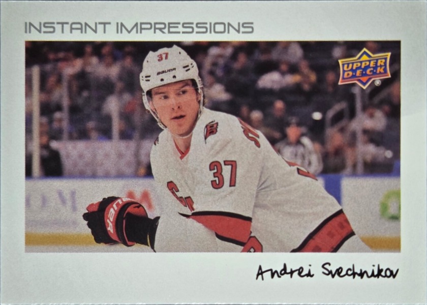 Andrei Svechnikov