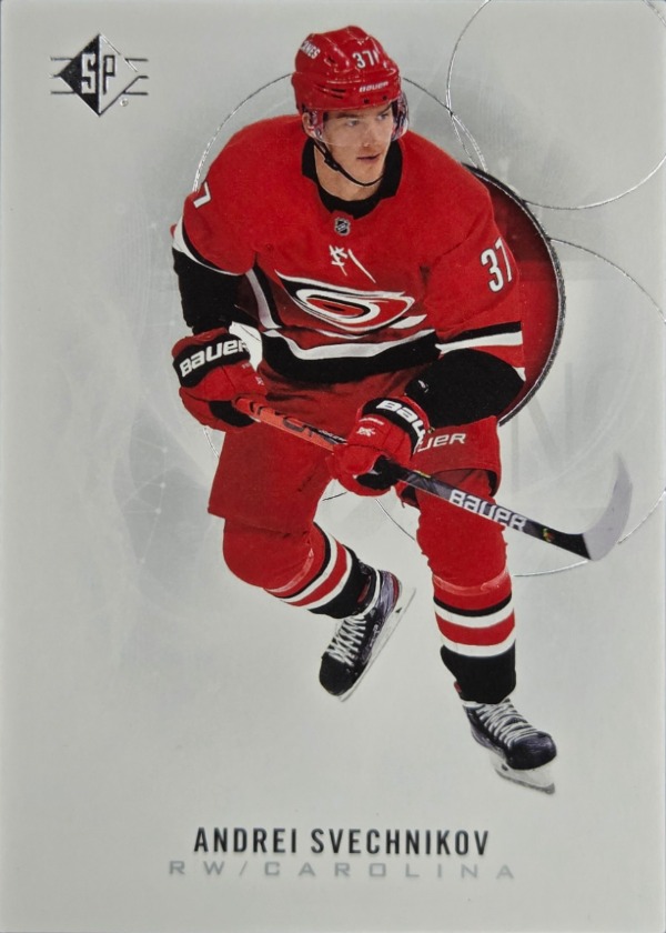 Andrei Svechnikov