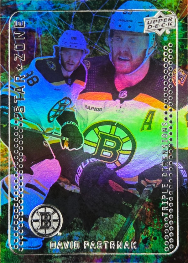 David Pastrnak