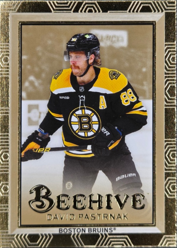 David Pastrnak