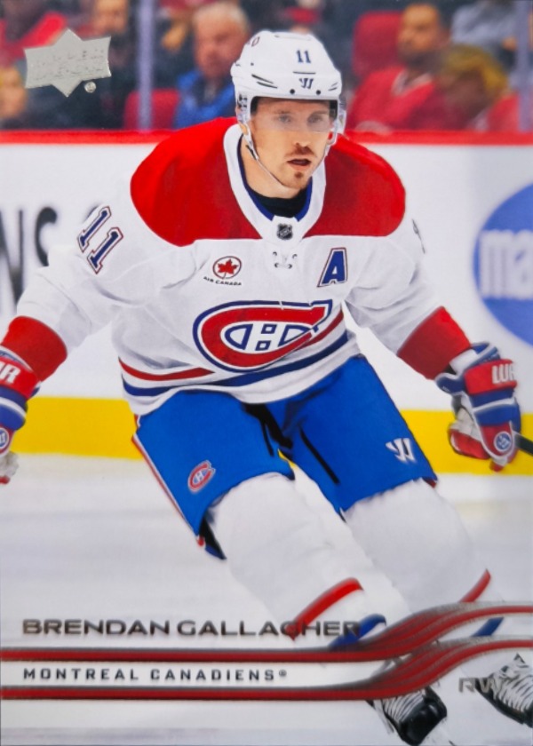 Brendan Gallagher