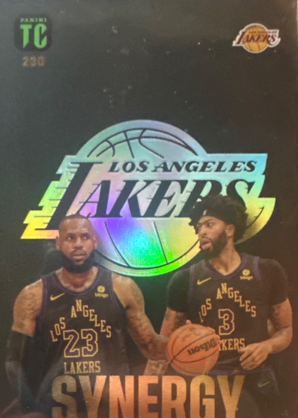 LeBron James / Anthony Davis