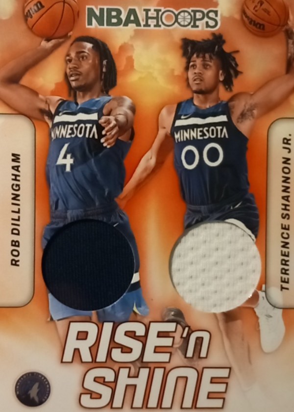 Rob Dillingham / Terrence Shannon Jr.