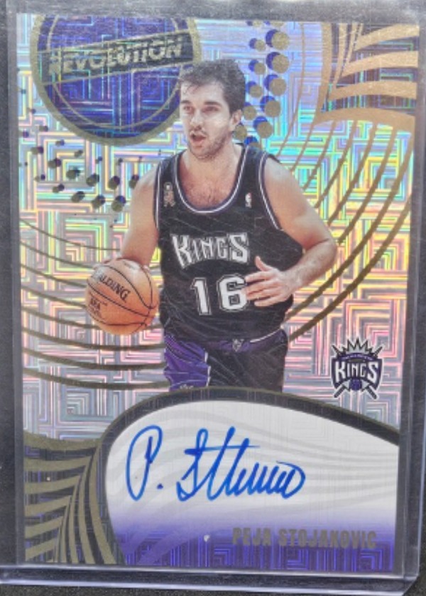 Peja Stojakovic