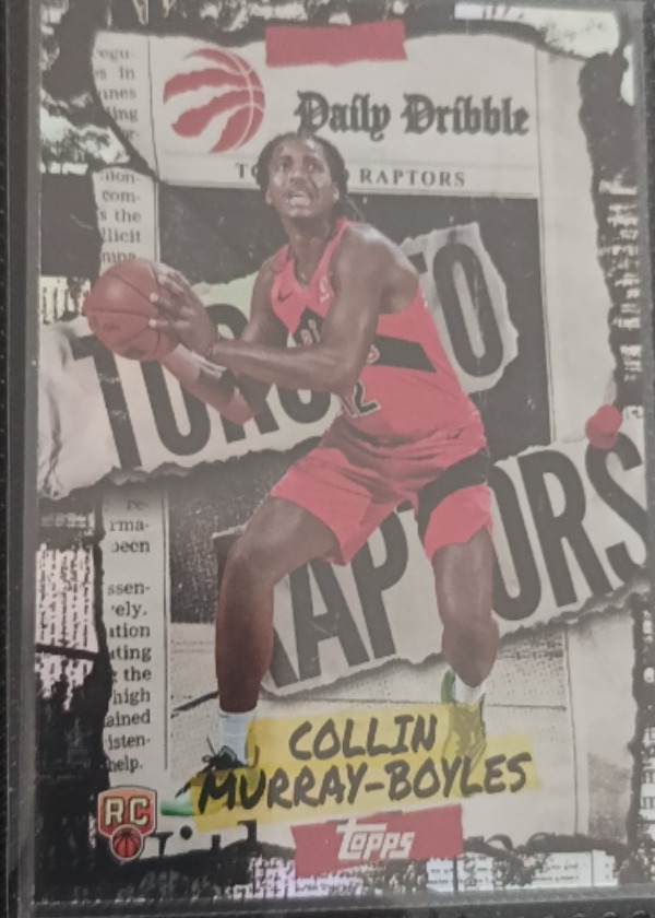 Collin Murray-Boyles