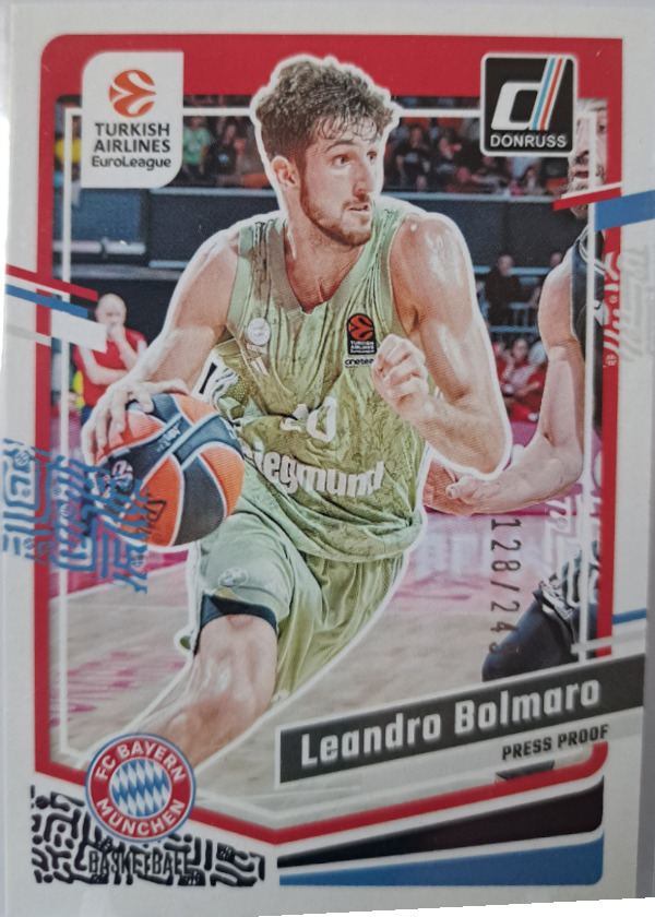 Leandro Bolmaro