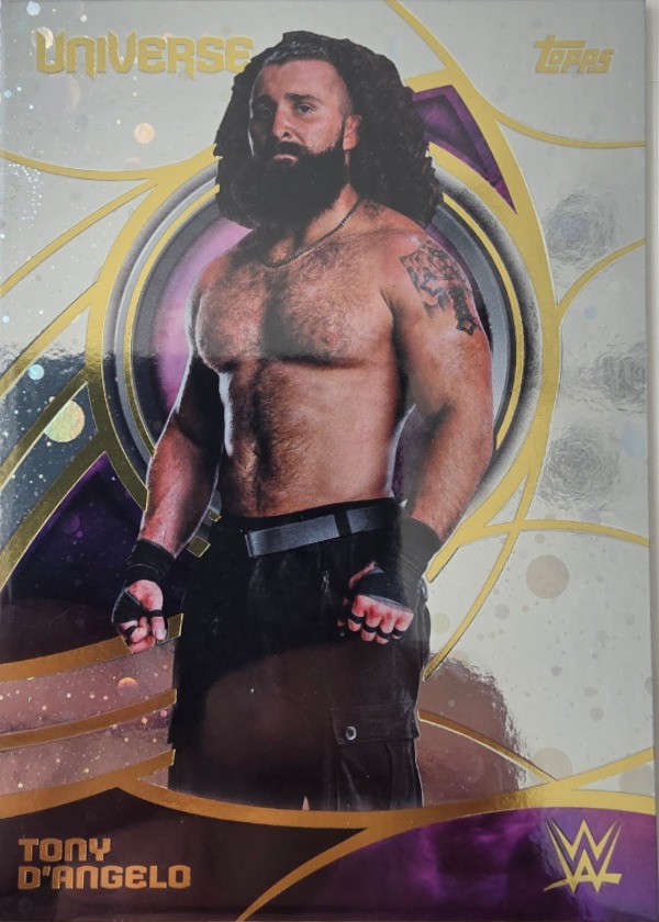Tony D'Angelo
