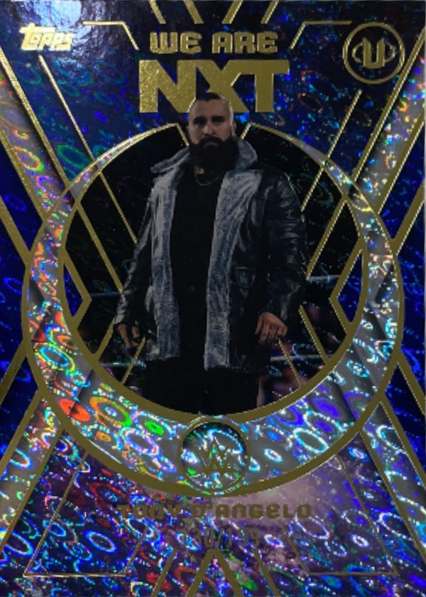 Tony D'Angelo