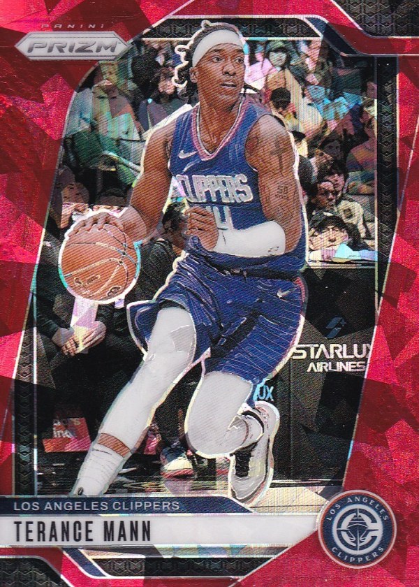 Terance Mann