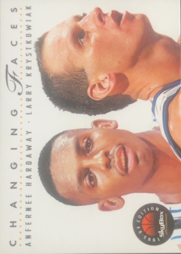 Anfernee Hardaway / Larry Krystkowiak