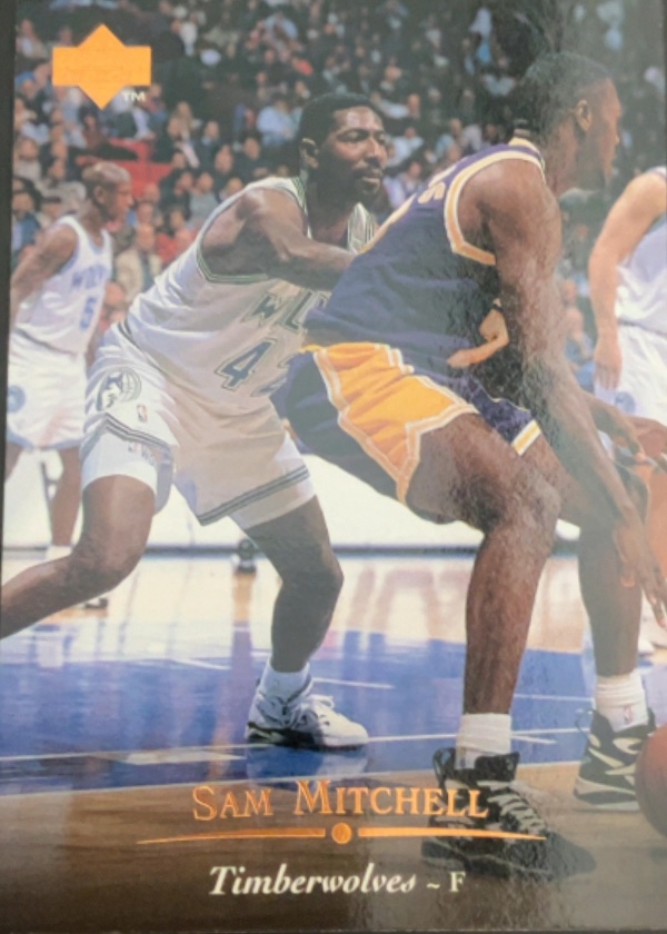 Sam Mitchell