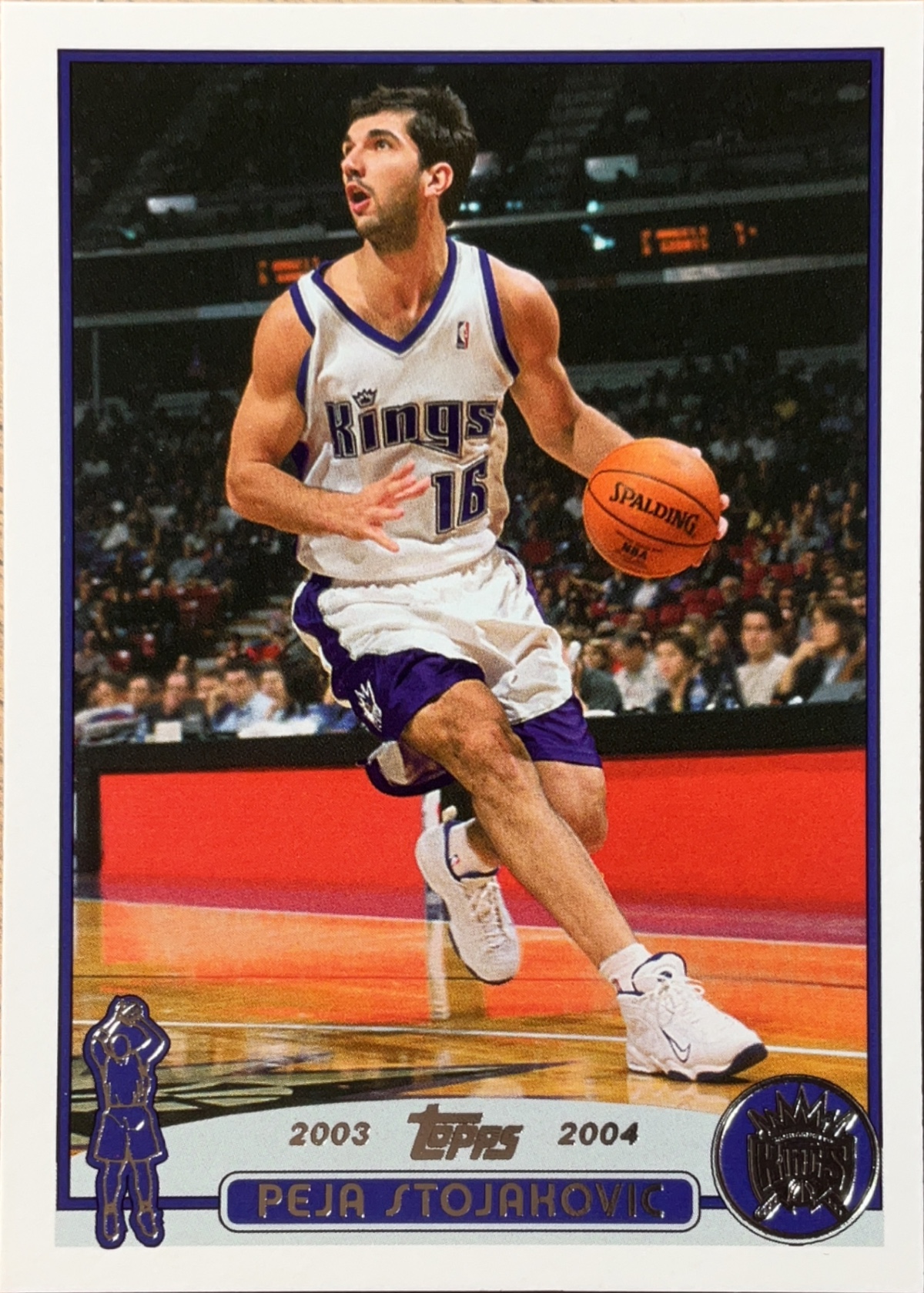 Peja Stojakovic