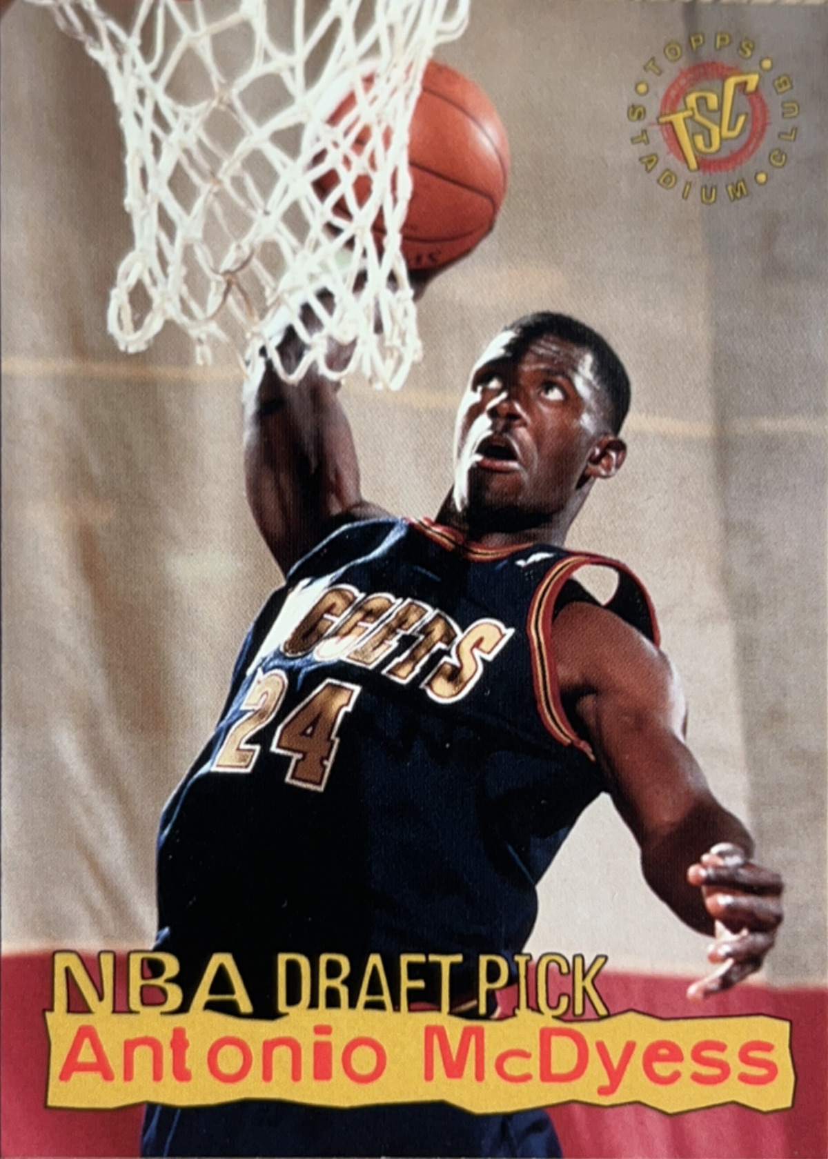 Antonio McDyess