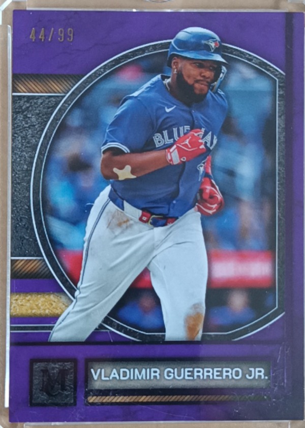 Vladimir Guerrero Jr.