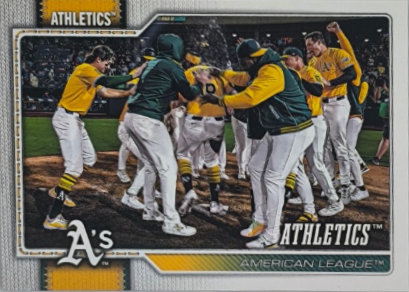 Team Card