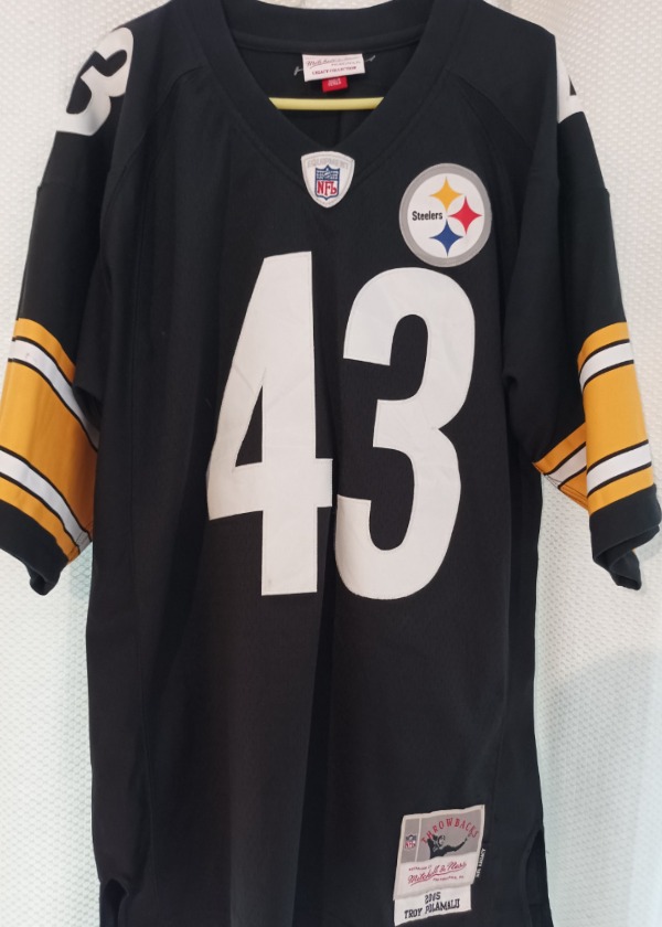 Troy Polamalu