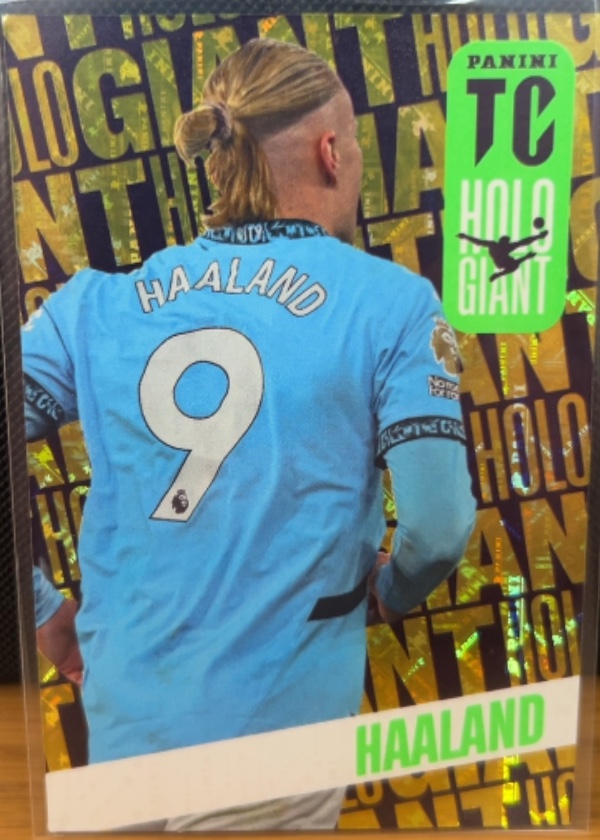 Erling Haaland