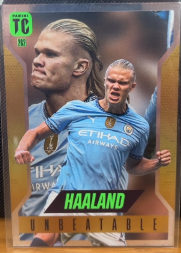 Erling Haaland