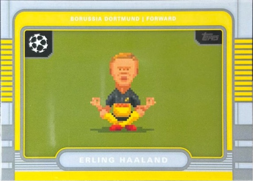 Erling Haaland