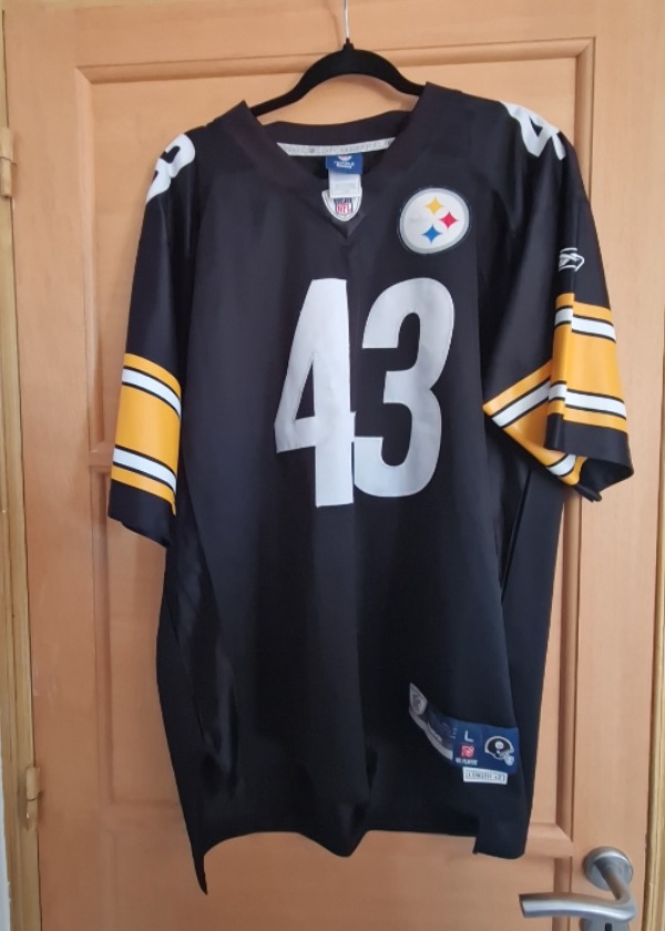Troy Polamalu
