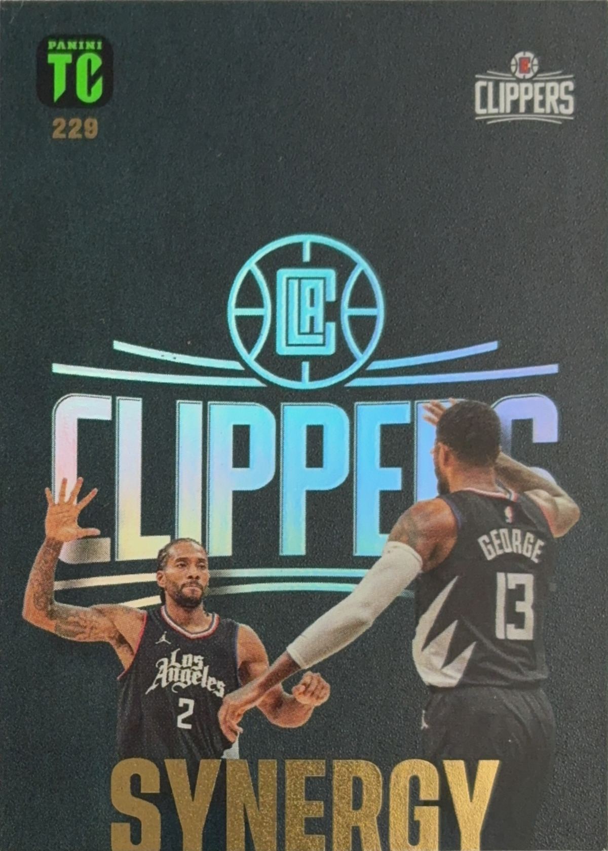 Paul George / Kawhi Leonard