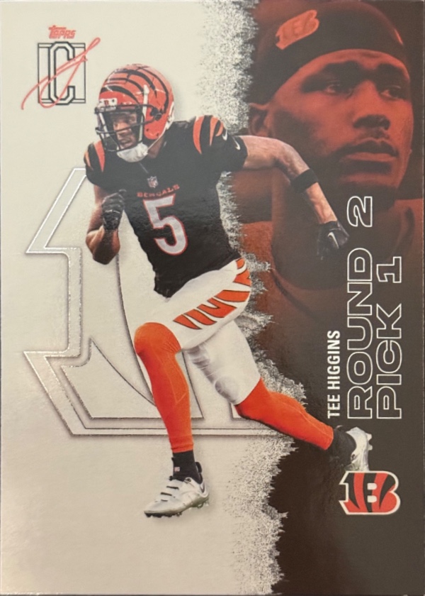 Tee Higgins
