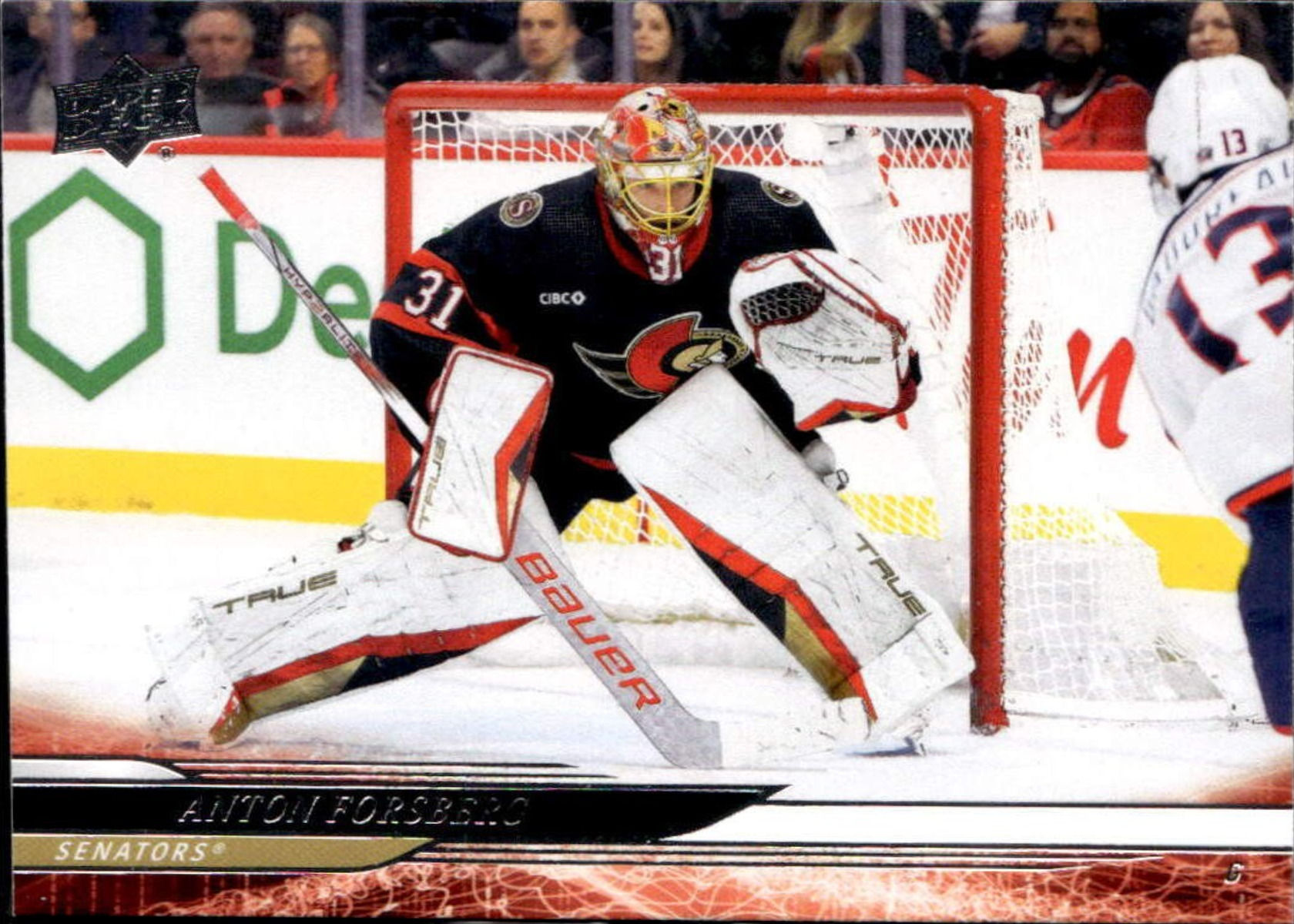 Anton Forsberg