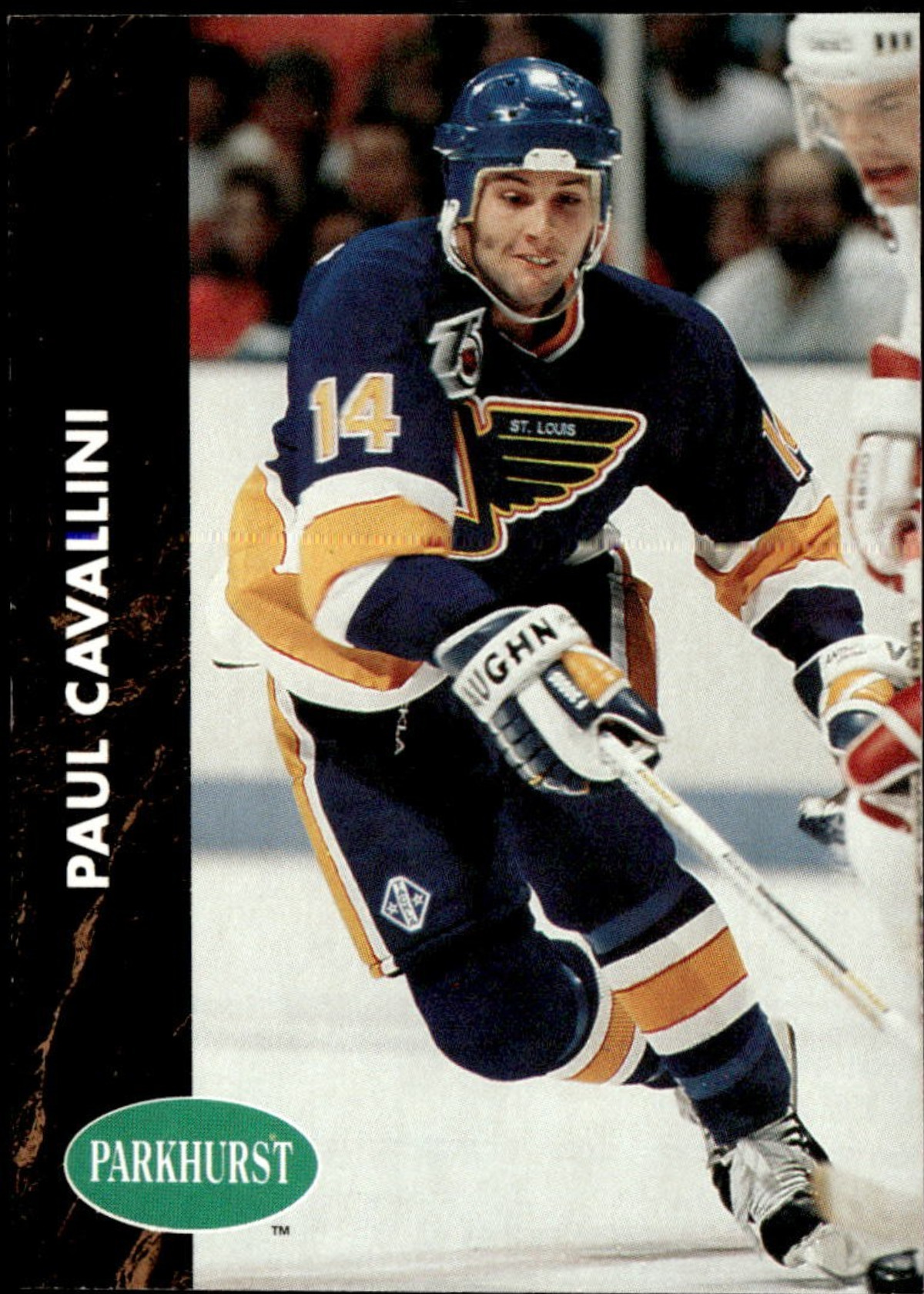 Paul Cavallini