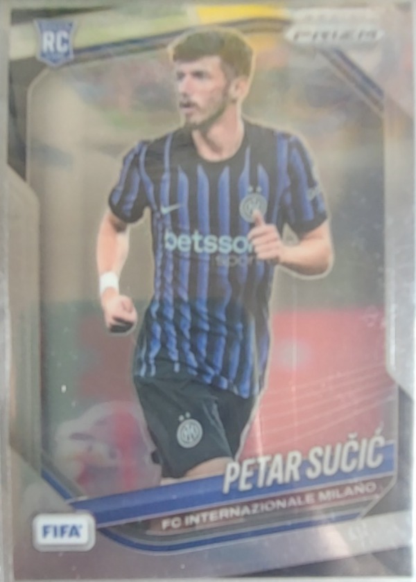 Petar Sucic