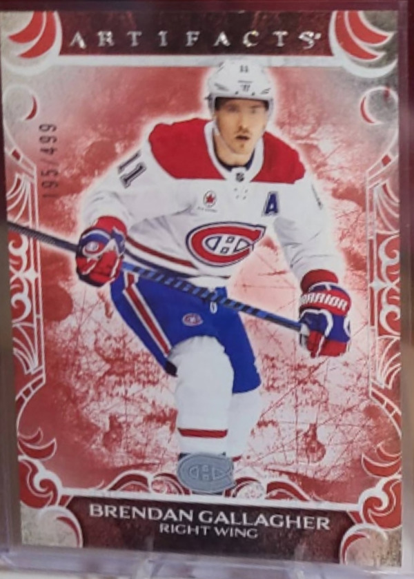 Brendan Gallagher