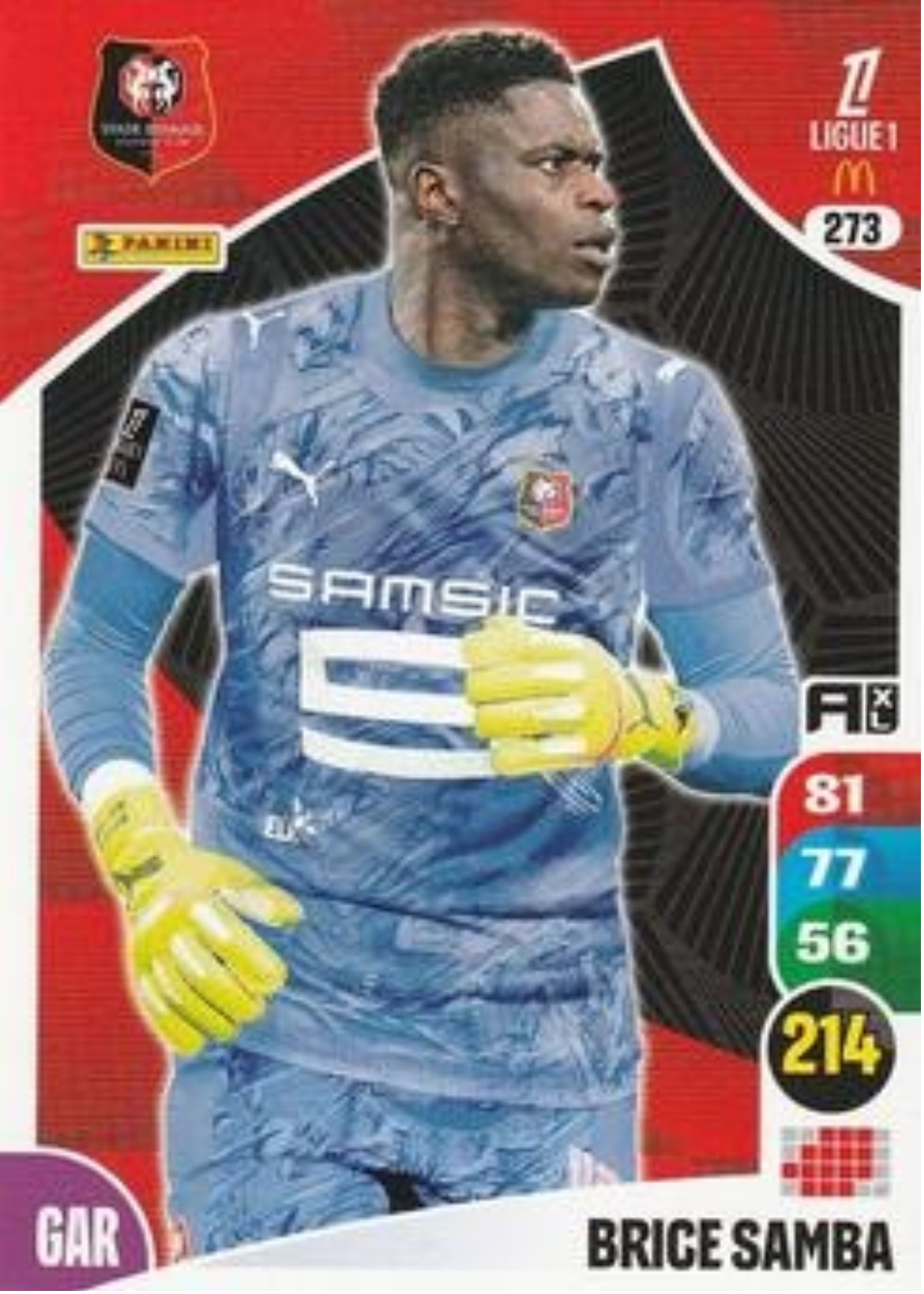 Brice Samba