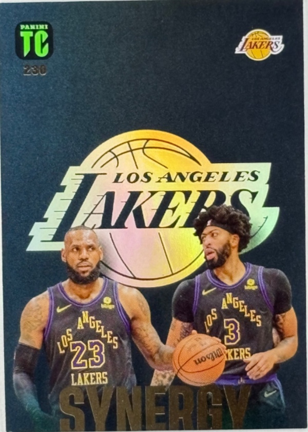 LeBron James / Anthony Davis