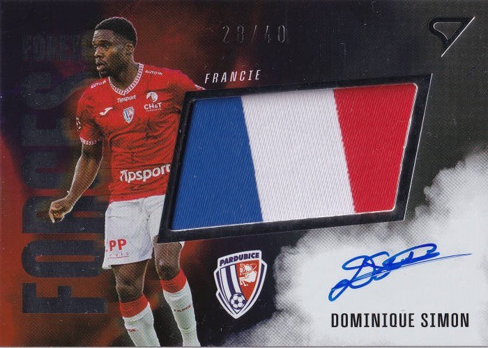 Dominique Simon