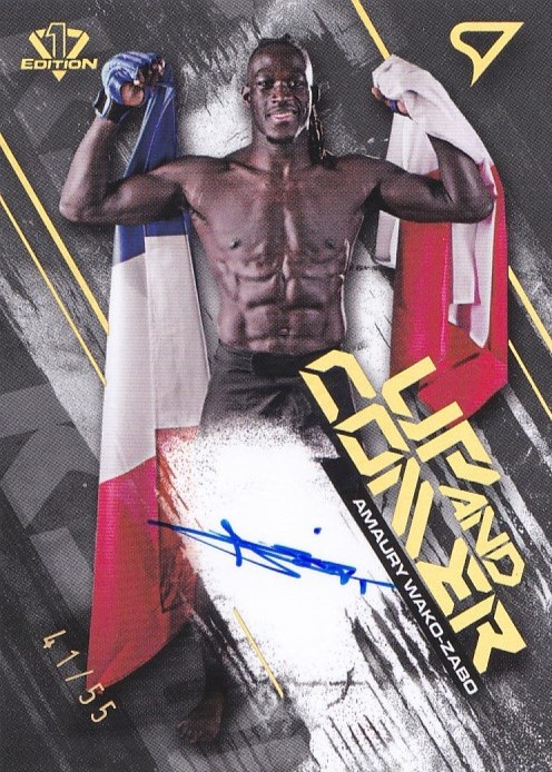 Amaury Wako-Zabo