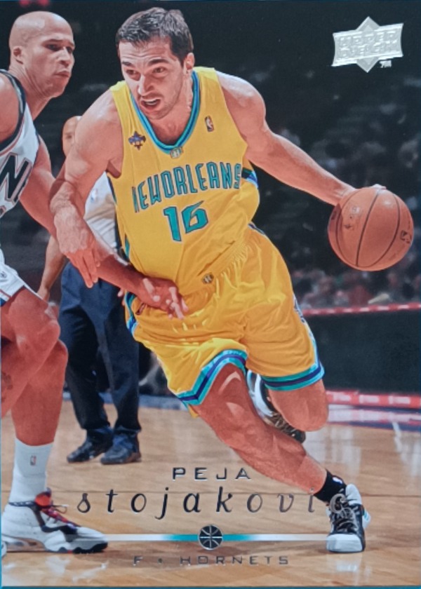 Peja Stojakovic